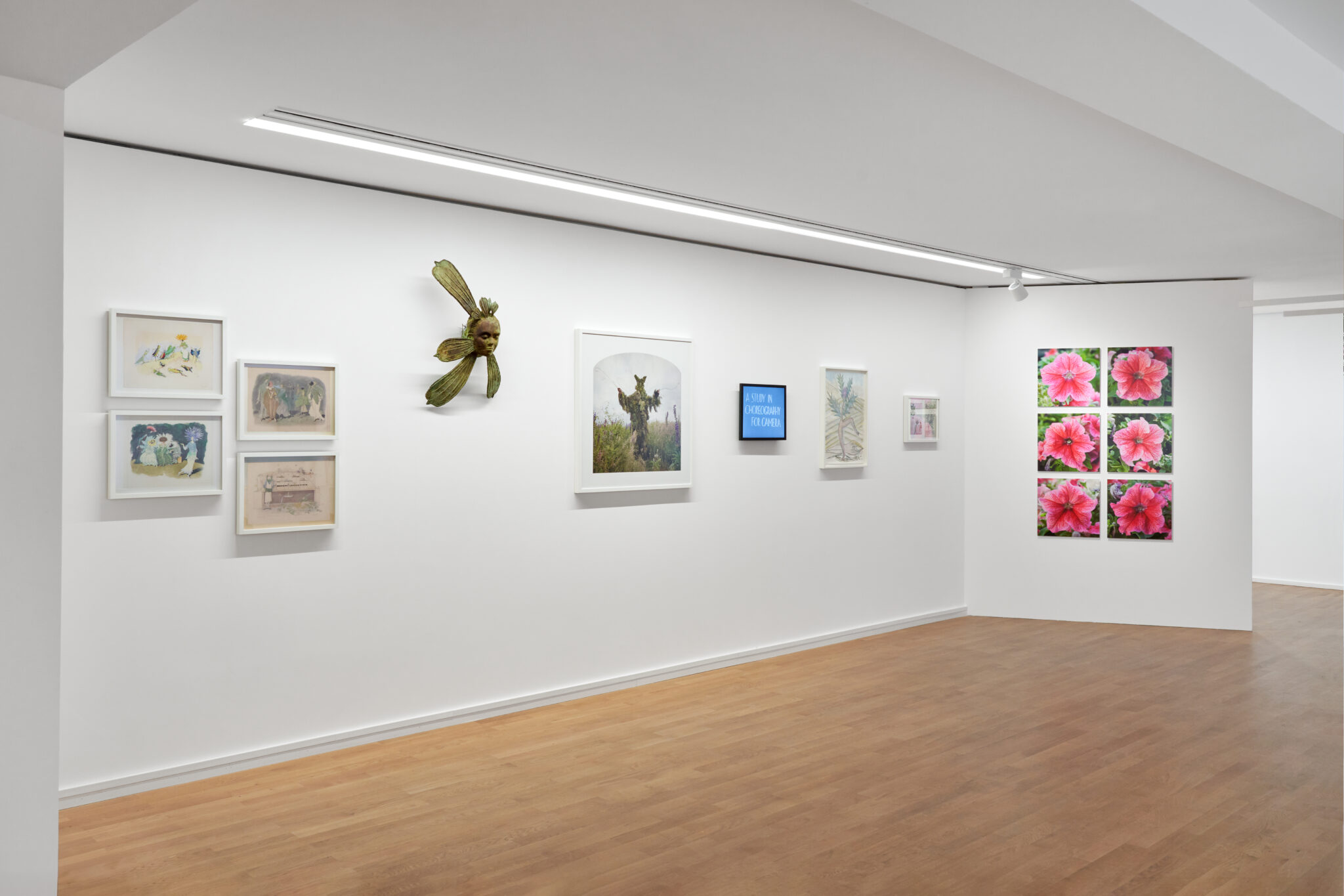 Installationsansicht der Ausstellung „Unter Pflanzen“ im Museum Sinclair Haus, Bad Homburg – Fotograf Jens Gerber, Frankfurt am Main.