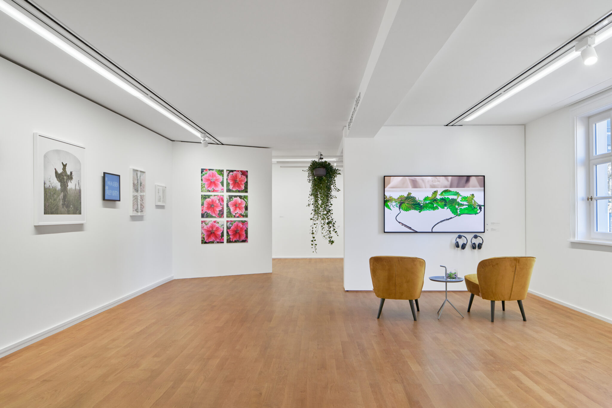 Installationsansicht der Ausstellung „Unter Pflanzen“ im Museum Sinclair Haus, Bad Homburg – Fotograf Jens Gerber, Frankfurt am Main.