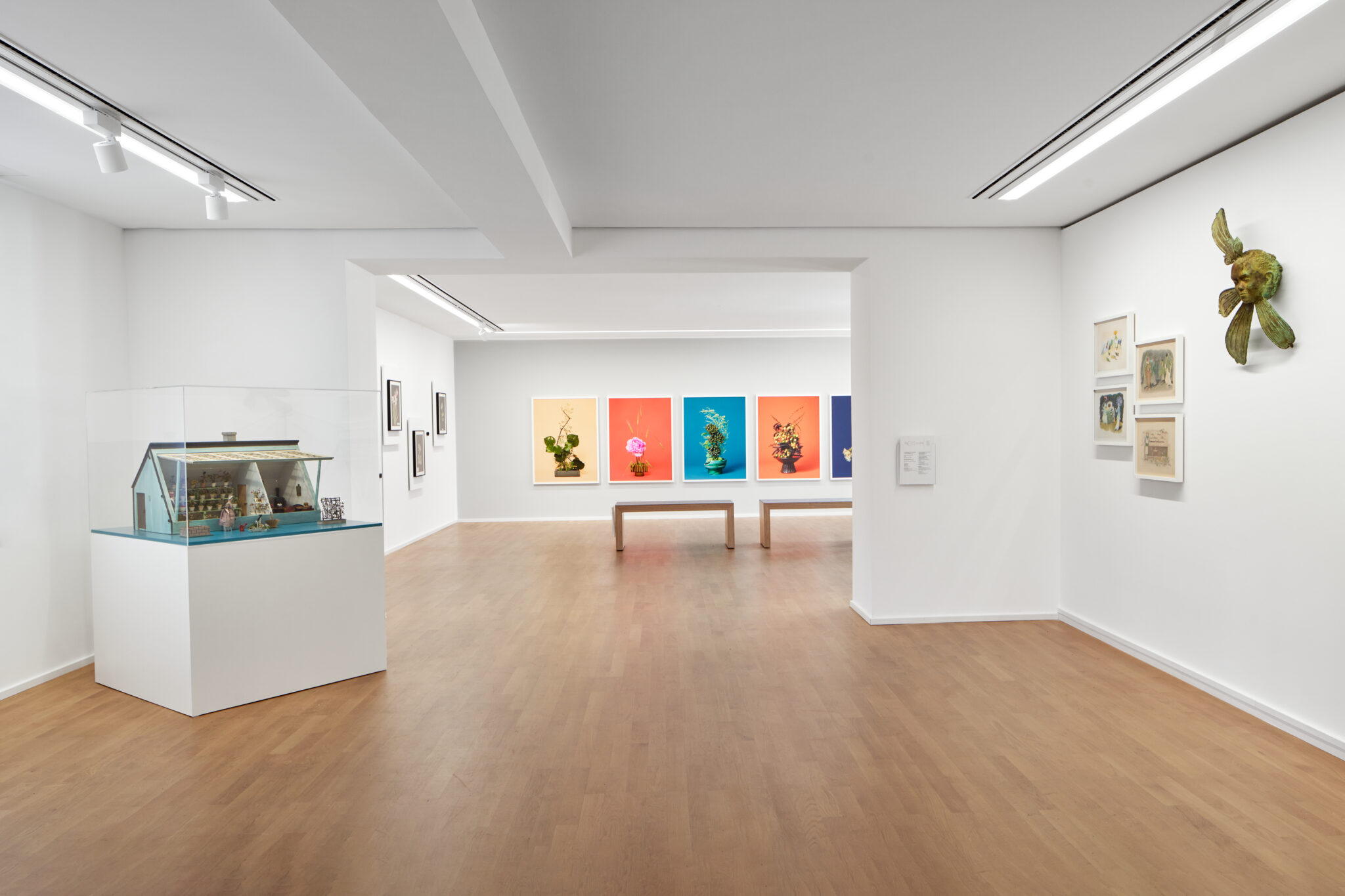 Installationsansicht der Ausstellung „Unter Pflanzen“ im Museum Sinclair Haus, Bad Homburg – Fotograf Jens Gerber, Frankfurt am Main.