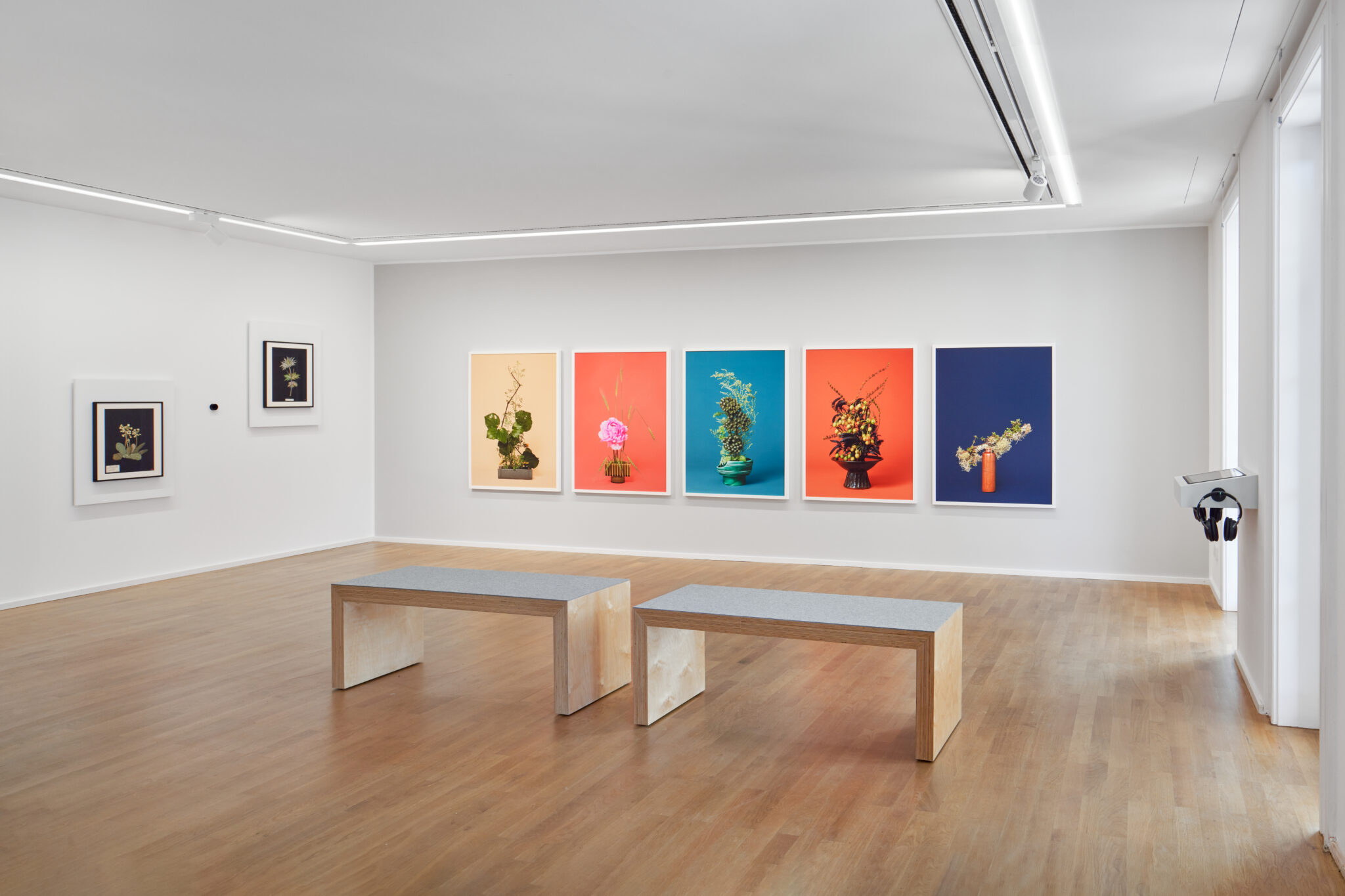 Installationsansicht der Ausstellung „Unter Pflanzen“ im Museum Sinclair Haus, Bad Homburg – Fotograf Jens Gerber, Frankfurt am Main.