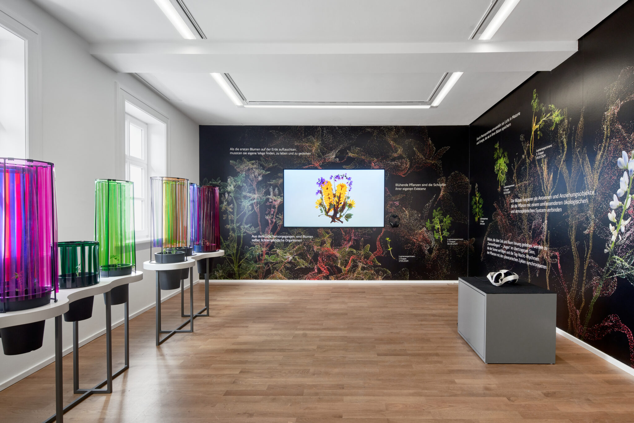 Installationsansicht der Ausstellung „Unter Pflanzen“ im Museum Sinclair Haus, Bad Homburg – Fotograf Jens Gerber, Frankfurt am Main.