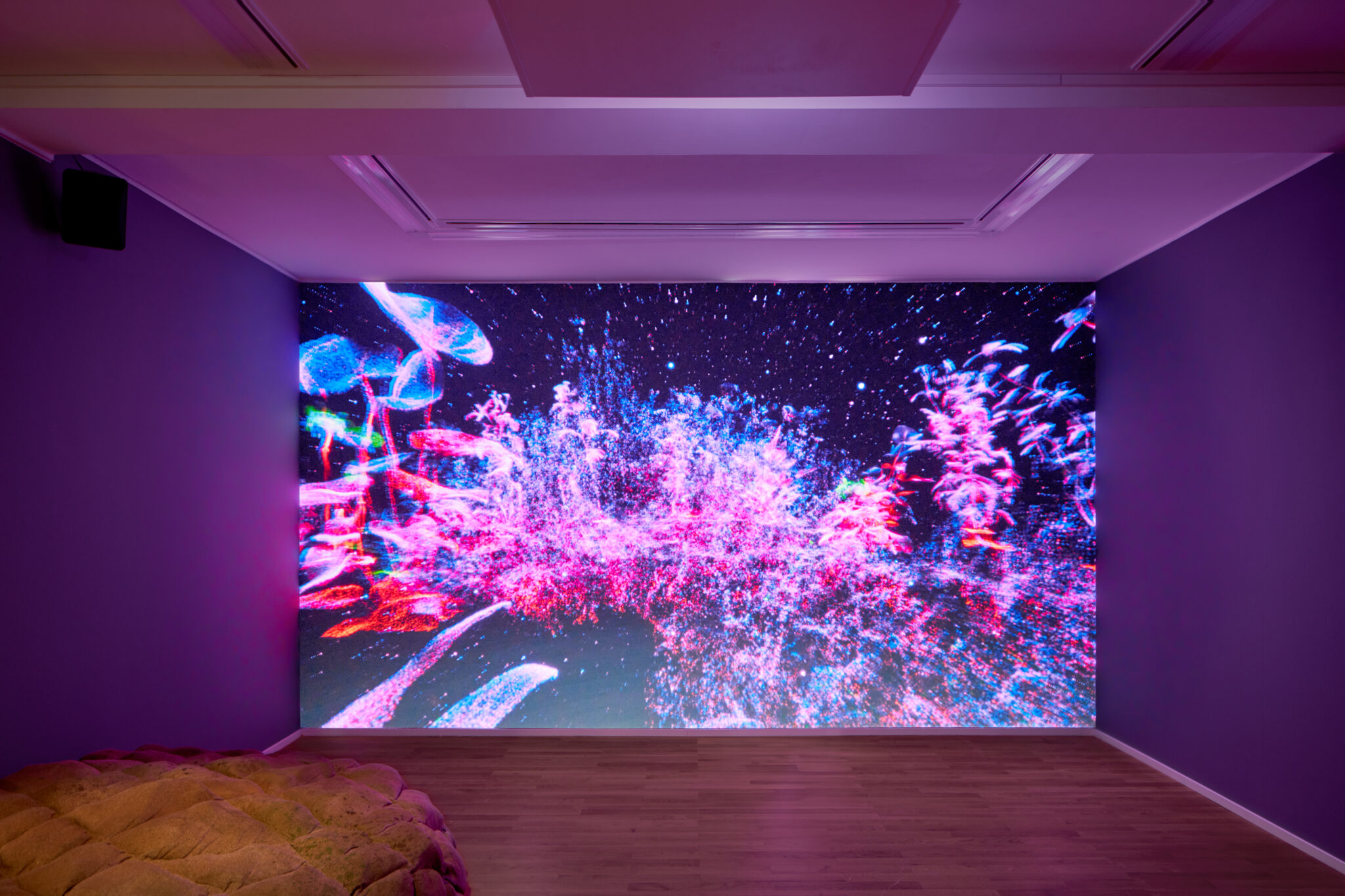 Installationsansicht der Ausstellung „Unter Pflanzen“ im Museum Sinclair Haus, Bad Homburg – Fotograf Jens Gerber, Frankfurt am Main.